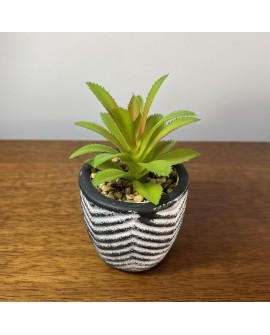 Plantín