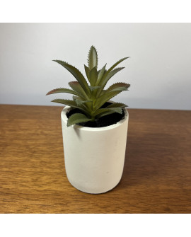 Plantín 1